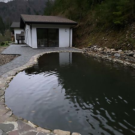 Котедж Грабовець Mizhhirya (Transcarpathia) المظهر الخارجي الصورة