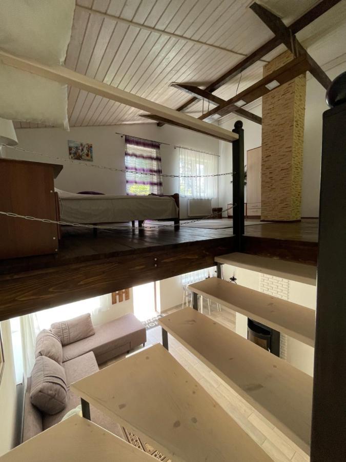 Cottage house Mizhhirya  المظهر الخارجي الصورة