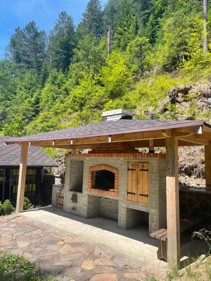 Cottage house Mizhhirya  المظهر الخارجي الصورة
