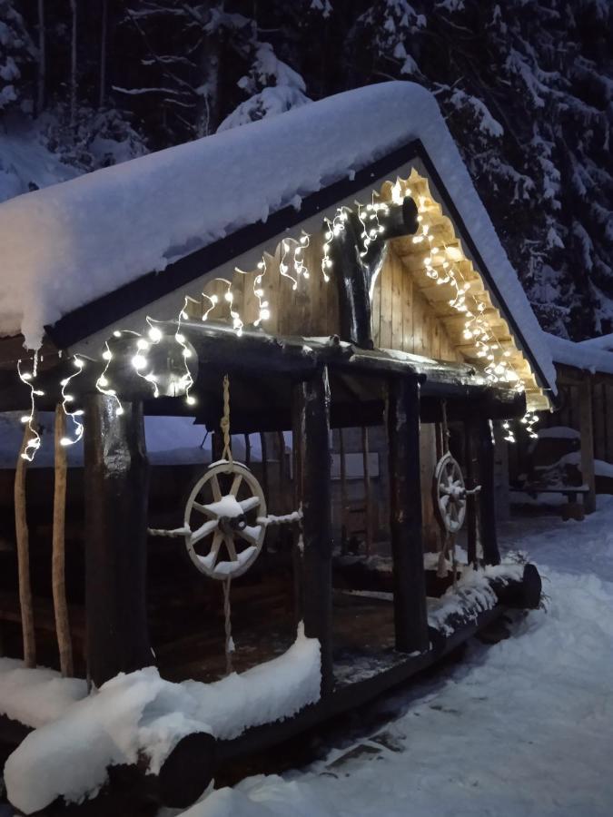 Cottage house Mizhhirya  المظهر الخارجي الصورة
