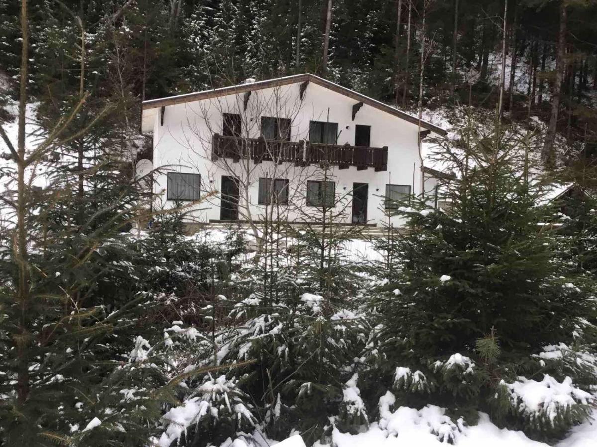 Cottage house Mizhhirya  المظهر الخارجي الصورة