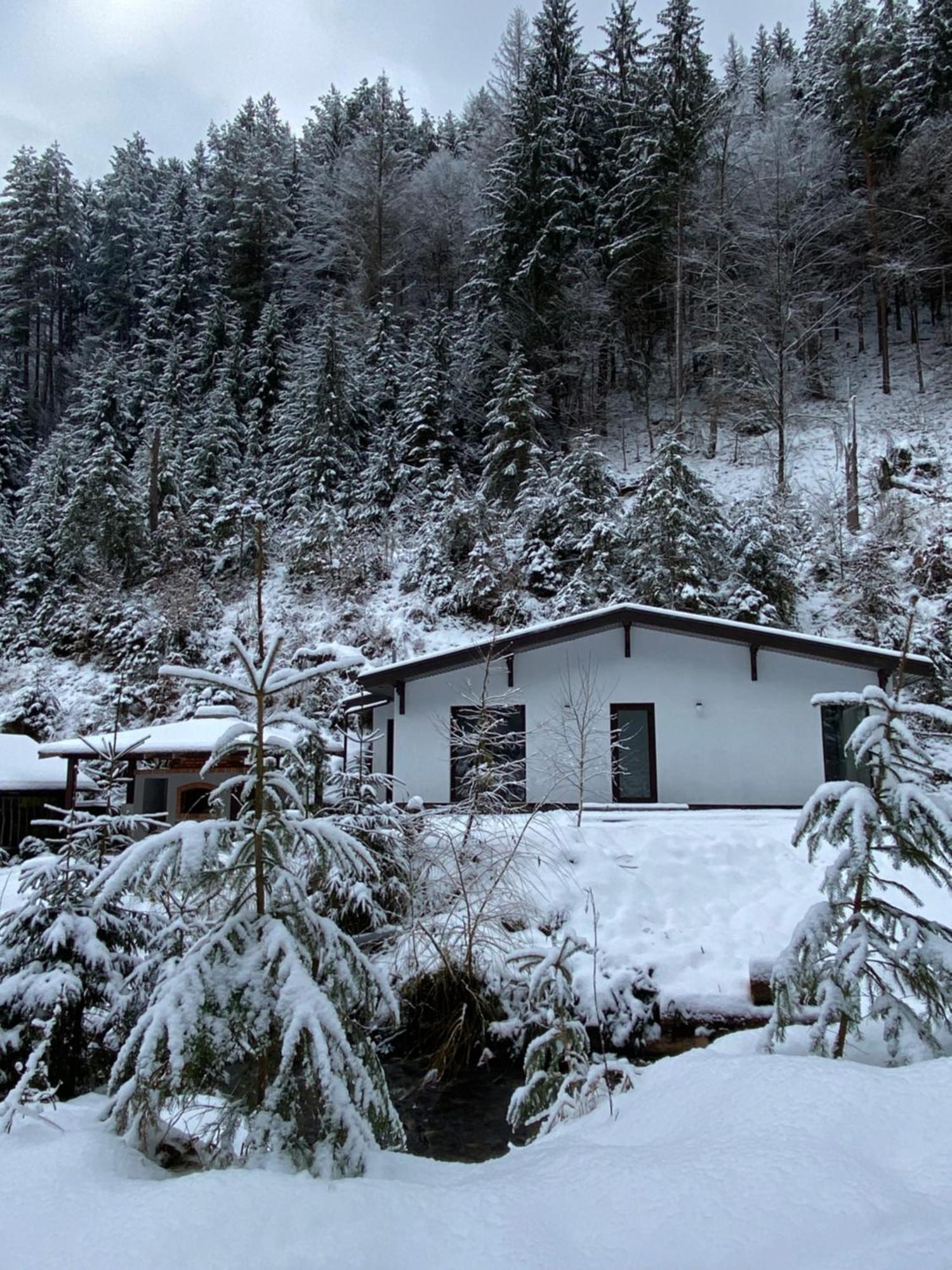 Cottage house Mizhhirya  المظهر الخارجي الصورة