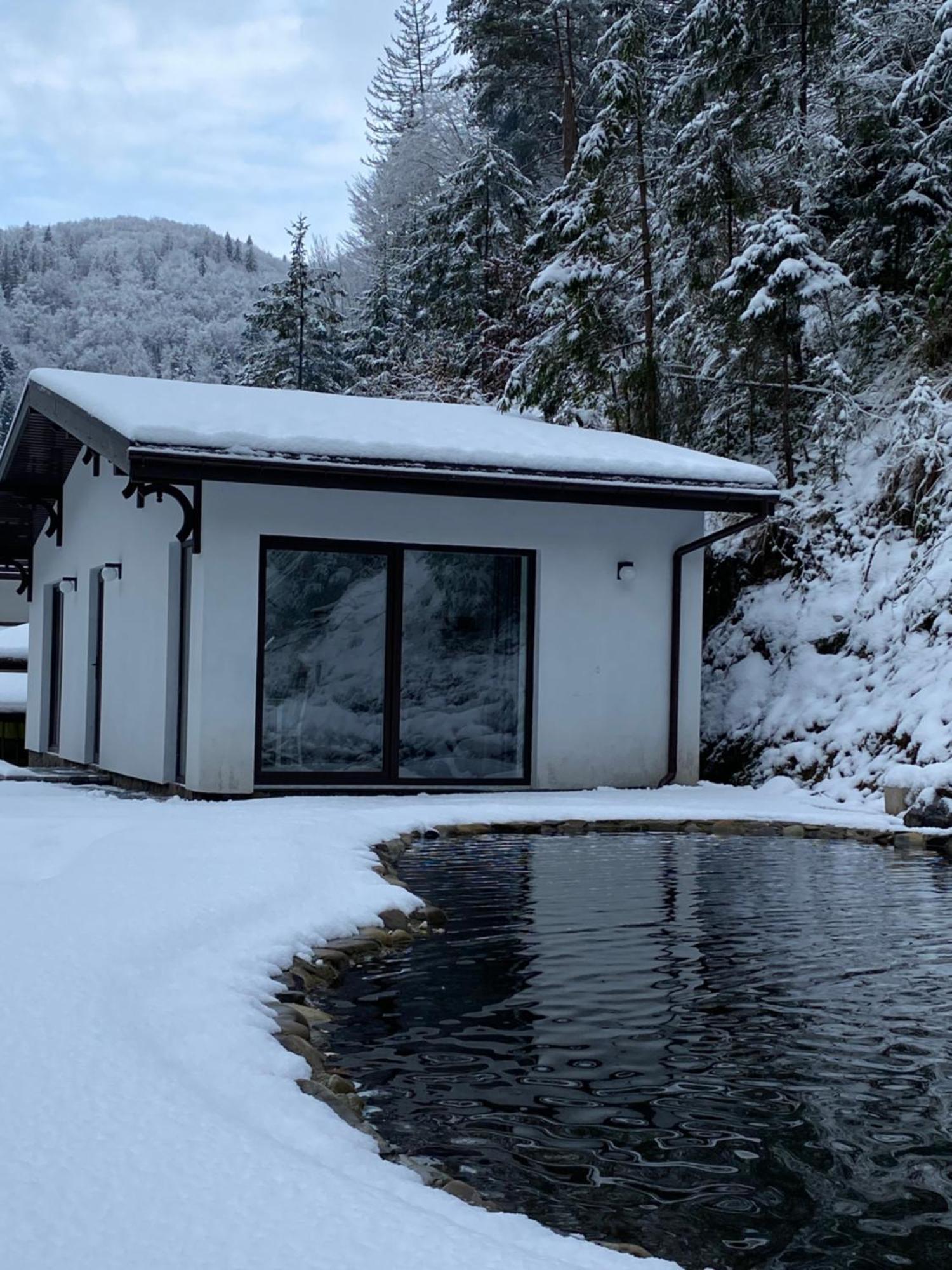 Cottage house Mizhhirya  المظهر الخارجي الصورة