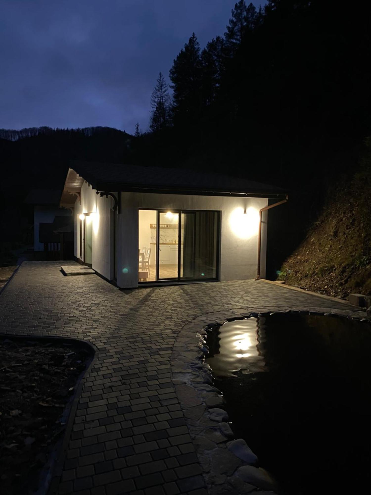 Cottage house Mizhhirya  المظهر الخارجي الصورة