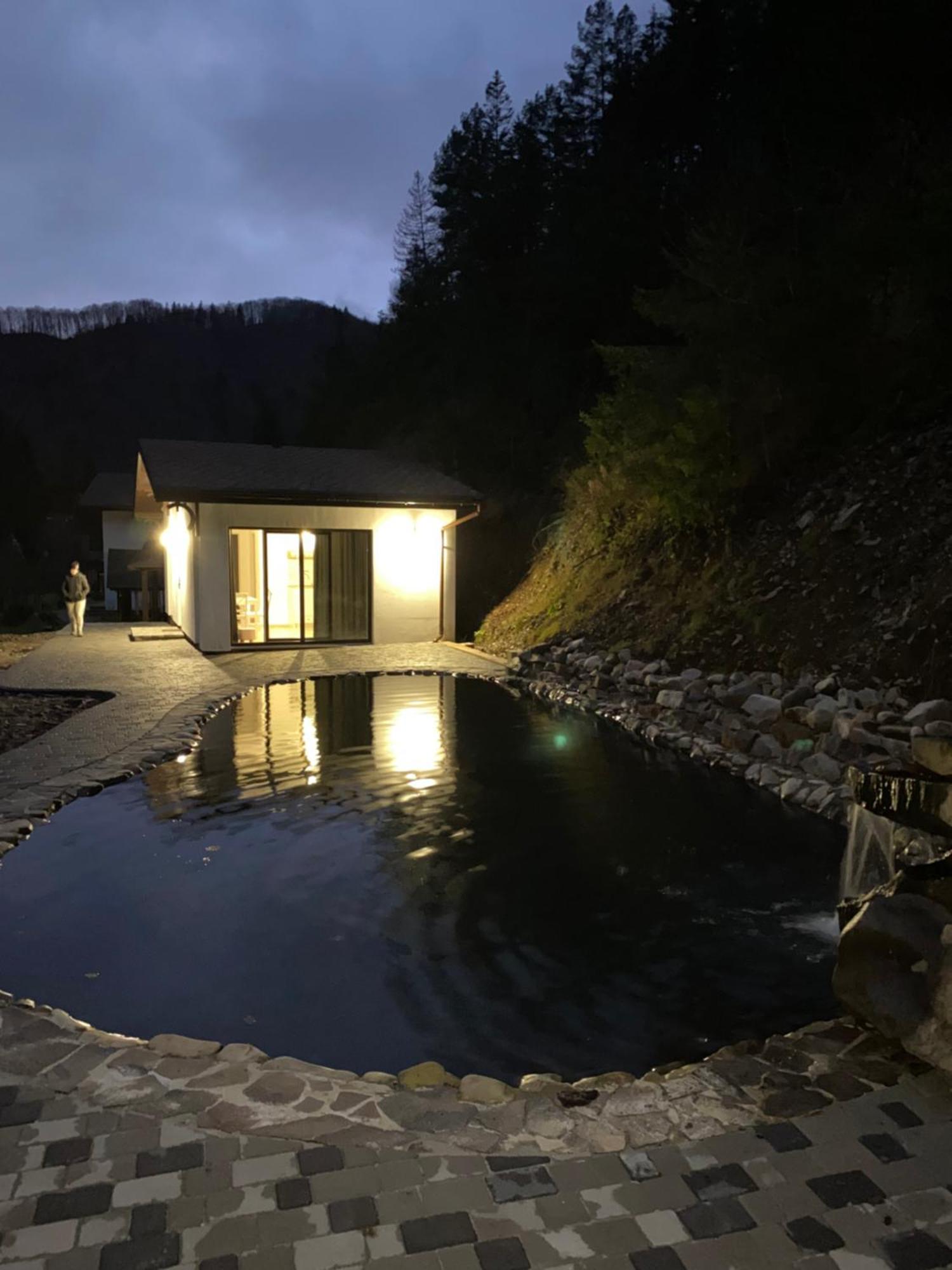 Cottage house Mizhhirya  المظهر الخارجي الصورة