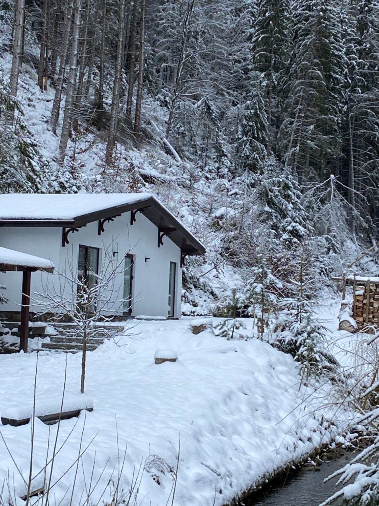 Cottage house Mizhhirya  المظهر الخارجي الصورة